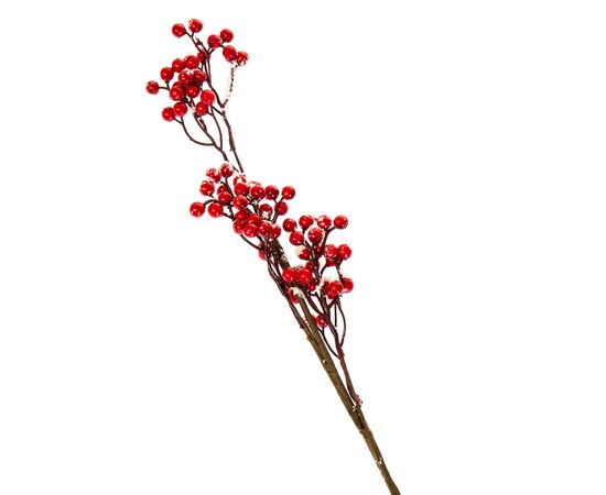 Декоративная ветвь "Лесные ягодки", изображение 2 ᐒ купить на  ❤ Like7km.com.ua