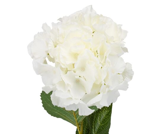 Искусственная гортензия "Клара", кремовая, изображение 2 ᐒ купить на  ❤ Like7km.com.ua