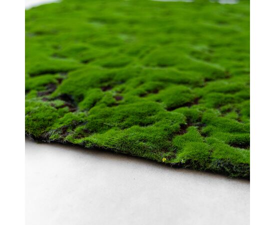 Декоративная панель из искусственного мха, 100*100 см, изображение 4 ᐒ купить на  ❤ Like7km.com.ua