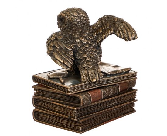 Статуэтка Шкатулка "Сова" (12 см) (75511A4), изображение 3 ᐒ купить на  ❤ Like7km.com.ua