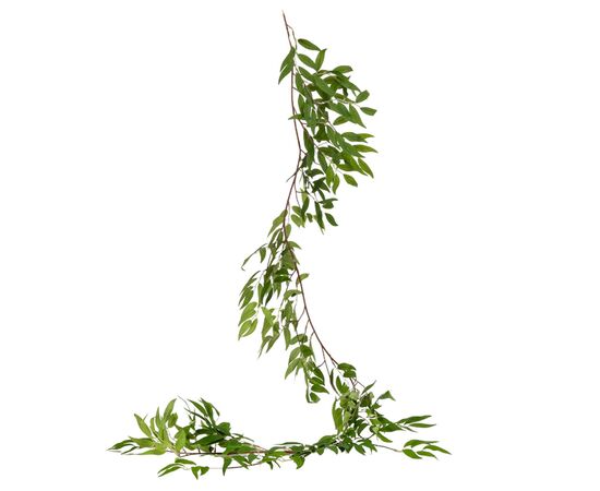 Свисающая зелень, 172 см, изображение 5 ᐒ купить на  ❤ Like7km.com.ua