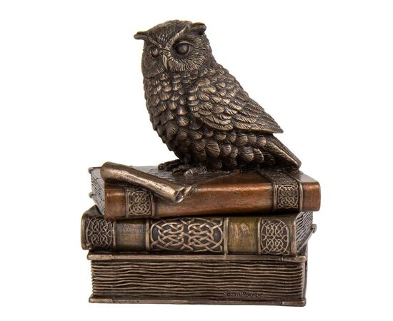 Шкатулка "Мудрая сова" (11 см) VERONESE ᐒ купить на  ❤ Like7km.com.ua