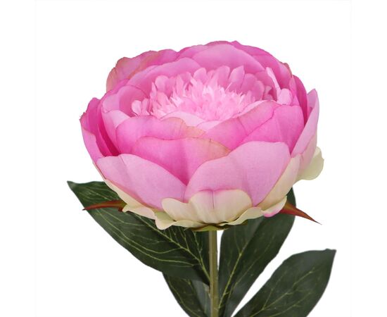 Пион розовый (79 см), изображение 2 ᐒ купить на  ❤ Like7km.com.ua