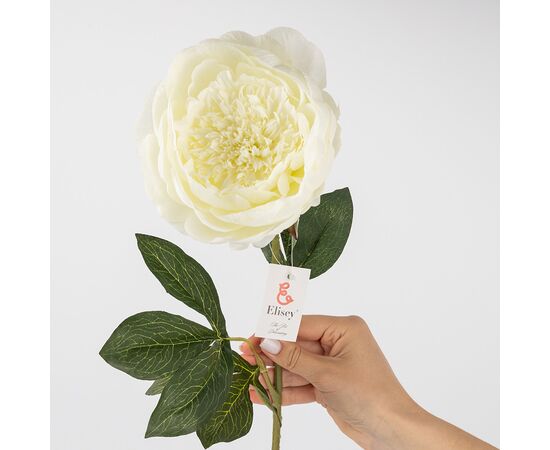 Искусственные пионы, белые, 80 см, изображение 3 ᐒ купить на  ❤ Like7km.com.ua