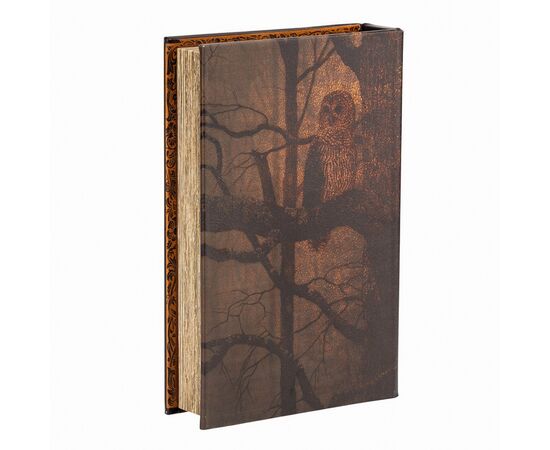 Книга-сейф "Сова", изображение 3 ᐒ купить на  ❤ Like7km.com.ua