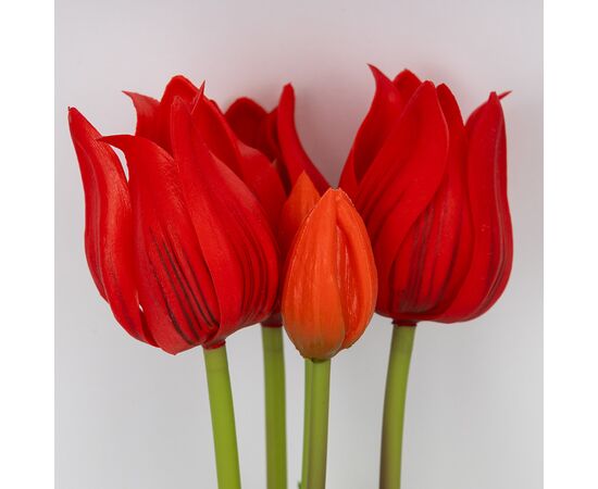 Букет латексных тюльпанов, 5 бутонов, красный, 50 см, изображение 2 ᐒ купить на  ❤ Like7km.com.ua