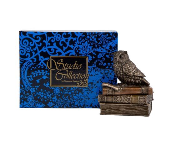 Шкатулка "Мудрая сова" (11 см) VERONESE, изображение 3 ᐒ купить на  ❤ Like7km.com.ua