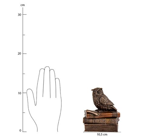 Шкатулка "Мудрая сова" (11 см) VERONESE, изображение 7 ᐒ купить на  ❤ Like7km.com.ua