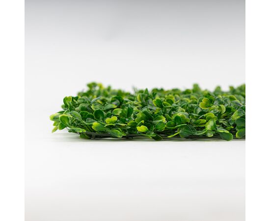 Искусственный фитомодуль "Самшит", 60*41 см СПАСЕННАЯ ПОЗИЦИЯ, изображение 4 ᐒ купить на  ❤ Like7km.com.ua