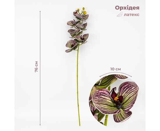 Латексная орхидея, зелено-бордовая, 76 см СПАСЕННАЯ ПОЗИЦИЯ ᐒ купить на  ❤ Like7km.com.ua