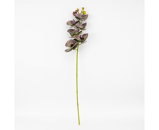 Латексная орхидея, зелено-бордовая, 76 см СПАСЕННАЯ ПОЗИЦИЯ, изображение 4 ᐒ купить на  ❤ Like7km.com.ua