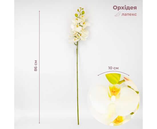Латексная орхидея, кремовая, 86 см СПАСЕННАЯ ПОЗИЦИЯ ᐒ купить на  ❤ Like7km.com.ua