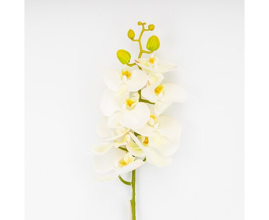 Латексная орхидея, кремовая, 86 см СПАСЕННАЯ ПОЗИЦИЯ, изображение 2 ᐒ купить на  ❤ Like7km.com.ua