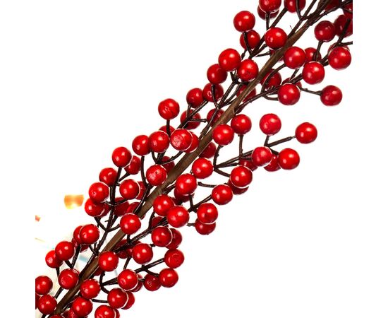 Кизильник Корал Бьюти, красный 1 м, изображение 2 ᐒ купить на  ❤ Like7km.com.ua