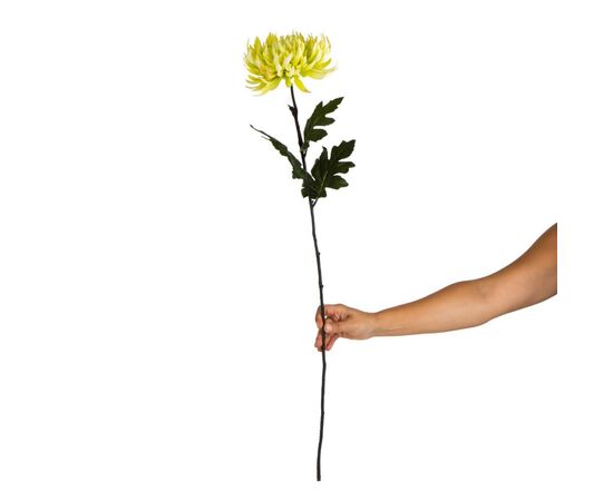 Хризантема "Вдохновение", зеленая, изображение 2 ᐒ купить на  ❤ Like7km.com.ua