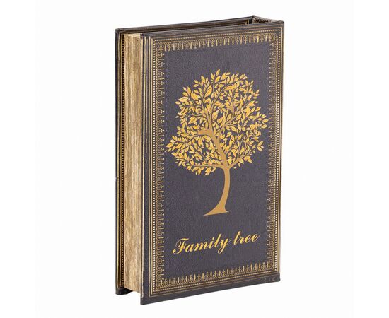 Книга-сейф "Сокровища семьи", изображение 3 ᐒ купить на  ❤ Like7km.com.ua