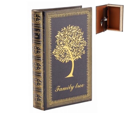 Книга-сейф "Сокровища семьи", изображение 5 ᐒ купить на  ❤ Like7km.com.ua