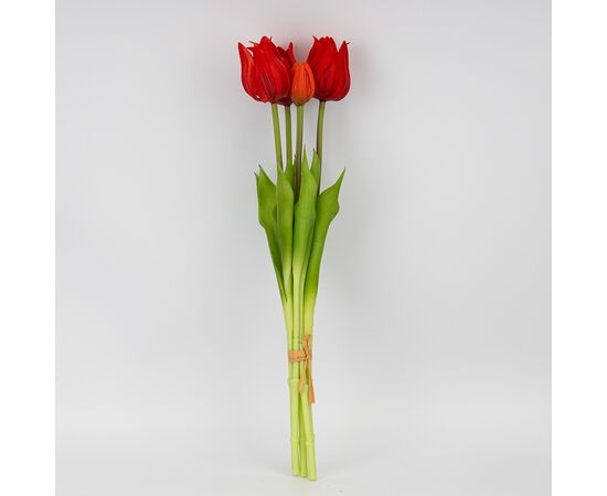 Букет латексных тюльпанов, 5 бутонов, красный, 50 см, изображение 3 ᐒ купить на  ❤ Like7km.com.ua