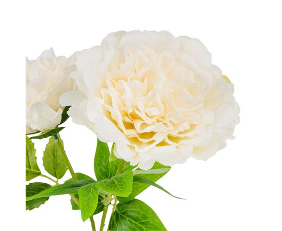 Искусственные пионы, кремовые, 60 см, изображение 2 ᐒ купить на  ❤ Like7km.com.ua