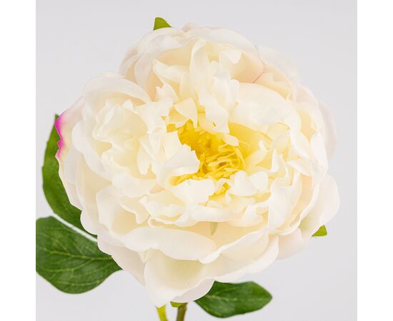 Искусственный пион с эффектом живого прикосновения, белый, 60 см, изображение 2 ᐒ купить на  ❤ Like7km.com.ua