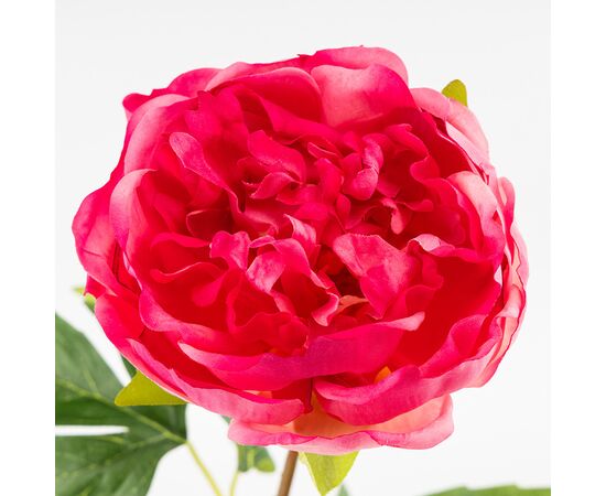 Искусственный пион с эффектом живого прикосновения, кремово-розовый, 60 см, изображение 2 ᐒ купить на  ❤ Like7km.com.ua