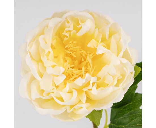 Искусственный пион с эффектом живого прикосновения, кремовый, 60 см, изображение 2 ᐒ купить на  ❤ Like7km.com.ua