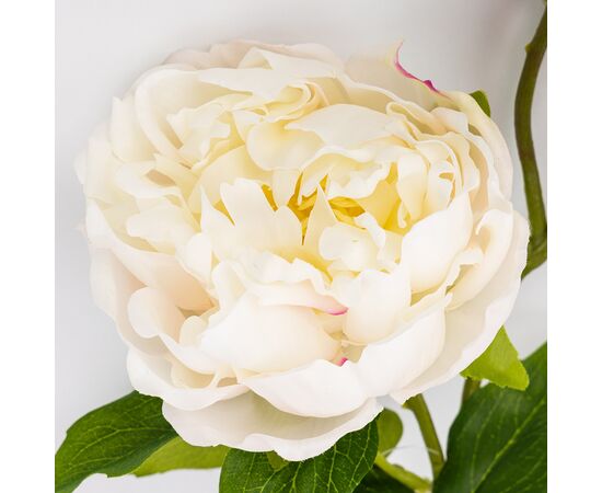 Искусственный пион с 3 бутонами с эффектом живого прикосновения, белый, 80 см, изображение 2 ᐒ купить на  ❤ Like7km.com.ua
