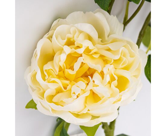 Искусственный пион с 3 бутонами с эффектом живого прикосновения, кремовый, 80 см, изображение 2 ᐒ купить на  ❤ Like7km.com.ua