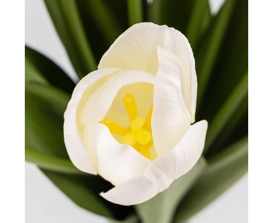 Букет тюльпанов с эффектом живого прикосновения, 9 бутонов, белый, 45 см, изображение 3 ᐒ купить на  ❤ Like7km.com.ua