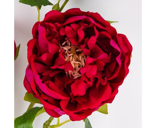 Искусственный пион с 3 бутонами с эффектом живого прикосновения, розовый, 80 см, изображение 3 ᐒ купить на  ❤ Like7km.com.ua