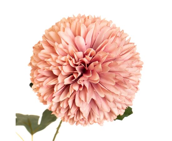 Цветок "Хризантема персиковая", изображение 2 ᐒ купить на  ❤ Like7km.com.ua