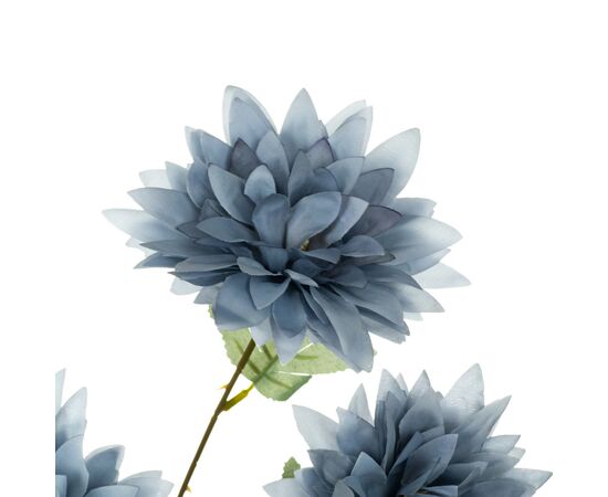 Хризантема, голубая, изображение 2 ᐒ купить на  ❤ Like7km.com.ua