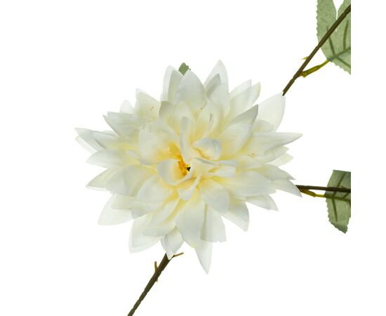 Хризантема, белая, изображение 2 ᐒ купить на  ❤ Like7km.com.ua
