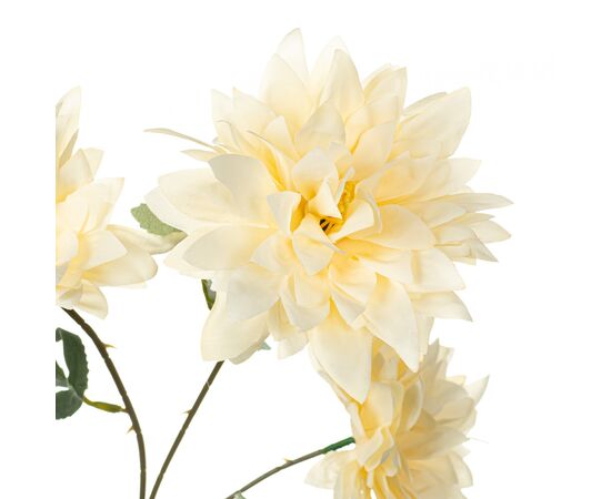 Хризантема, кремовая, изображение 2 ᐒ купить на  ❤ Like7km.com.ua