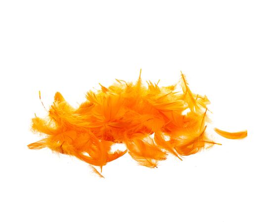 Наполнитель  "Жар-птица" *рандомный выбор цвета, изображение 6 ᐒ купить на  ❤ Like7km.com.ua