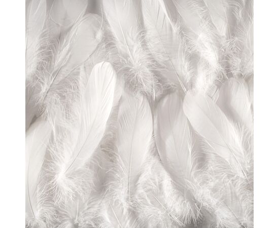 Декоративные перья, белые YOO-HOO!, изображение 2 ᐒ купить на  ❤ Like7km.com.ua