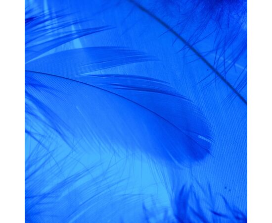 Декоративные перья, синие YOO-HOO!, изображение 2 ᐒ купить на  ❤ Like7km.com.ua