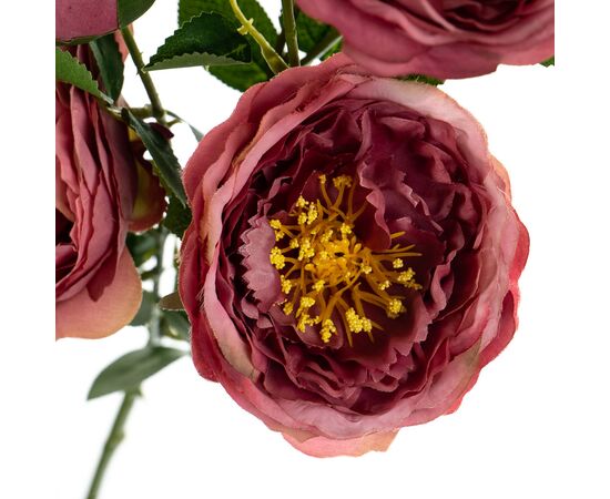 Букет "Полевые пионы темно-розовые", изображение 2 ᐒ купить на  ❤ Like7km.com.ua