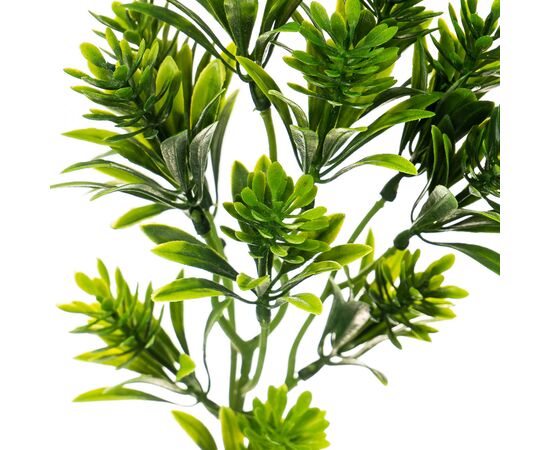 Ветка  тропическая, изображение 2 ᐒ купить на  ❤ Like7km.com.ua