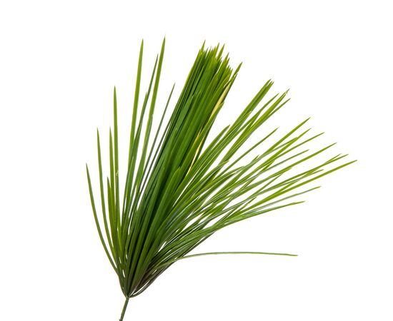 Искусственная зелёная ветка "Осока", изображение 2 ᐒ купить на  ❤ Like7km.com.ua