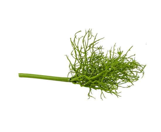 Каркас для букета (пластик, 28 см), изображение 2 ᐒ купить на  ❤ Like7km.com.ua