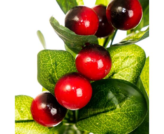 Фруктовая ветка с красными ягодами, изображение 2 ᐒ купить на  ❤ Like7km.com.ua