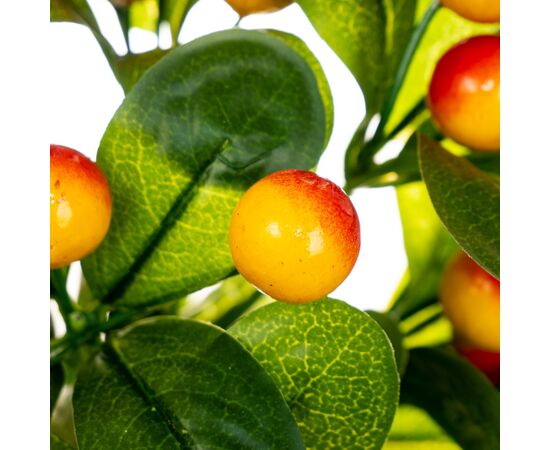 Фруктовая ветка с желтыми ягодами, изображение 2 ᐒ купить на  ❤ Like7km.com.ua