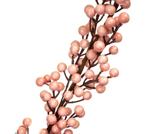 Кизильник Корал Бьюти, розовый 1 м, изображение 2 ᐒ купить на  ❤ Like7km.com.ua