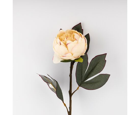 Искусственные пионы, кремовые, 66 см, изображение 3 ᐒ купить на  ❤ Like7km.com.ua