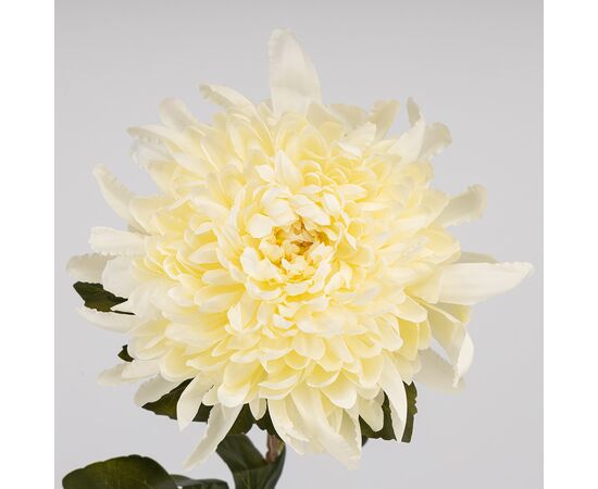 Искусственная хризантема, кремовая, 76 см, изображение 3 ᐒ купить на  ❤ Like7km.com.ua