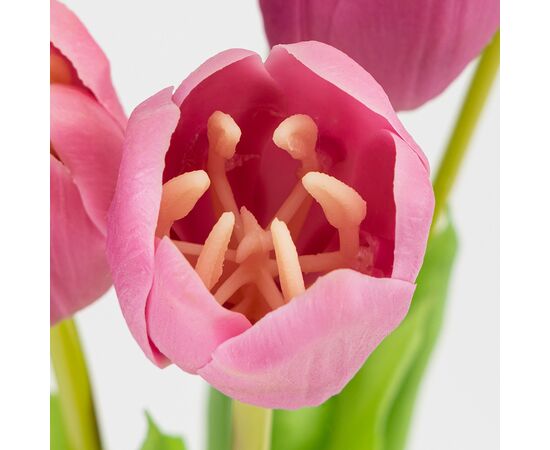 Букет латексных тюльпанов, 5 бутонов, розовый, 45 см, изображение 3 ᐒ купить на  ❤ Like7km.com.ua