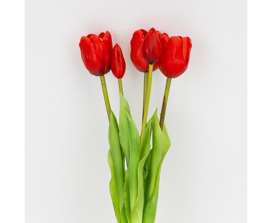 Букет латексных тюльпанов, 5 бутонов, красный, 45 см, изображение 2 ᐒ купить на  ❤ Like7km.com.ua