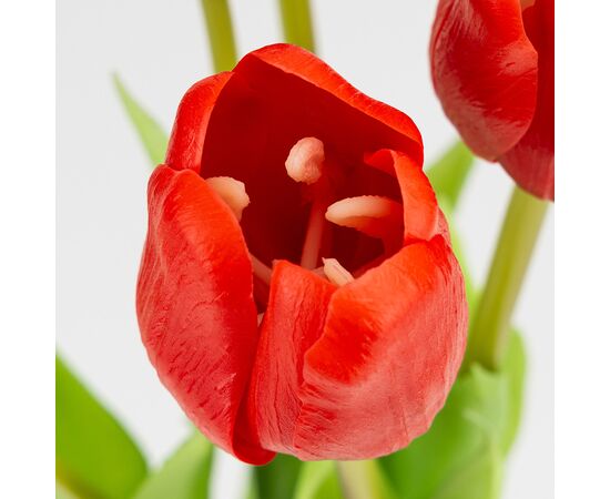 Букет латексных тюльпанов, 5 бутонов, красный, 45 см, изображение 3 ᐒ купить на  ❤ Like7km.com.ua