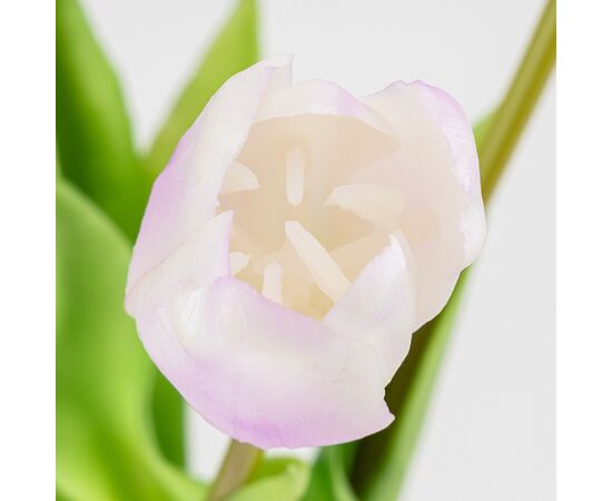 Букет латексных тюльпанов, 5 бутонов, бело-фиолетовый, 45 см, изображение 3 ᐒ купить на  ❤ Like7km.com.ua